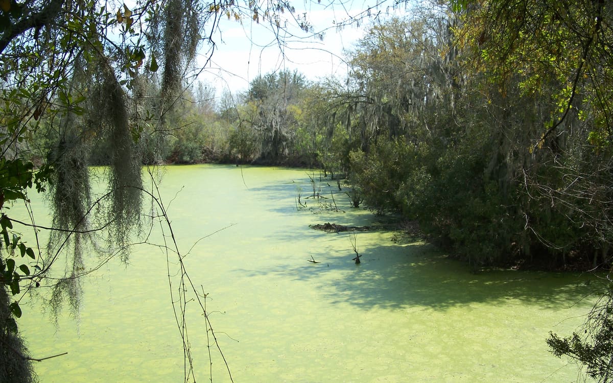 AC repair and heating service in Riverview, FL by Lightning Fast A/C & Heating, the Alafia River in Riverview